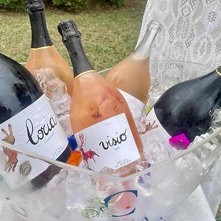 Cruna Di Subida Wine Country House Cormòns المظهر الخارجي الصورة