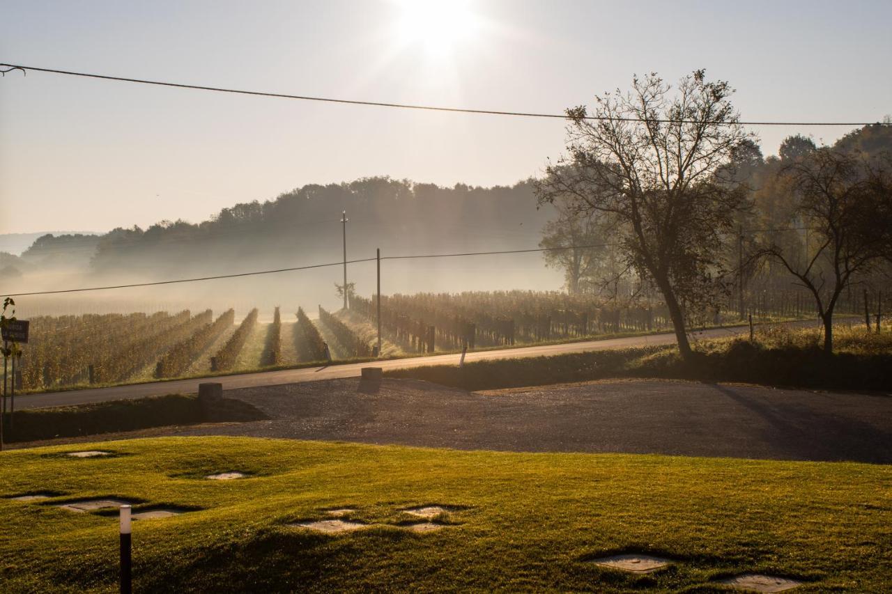 Cruna Di Subida Wine Country House Cormòns المظهر الخارجي الصورة