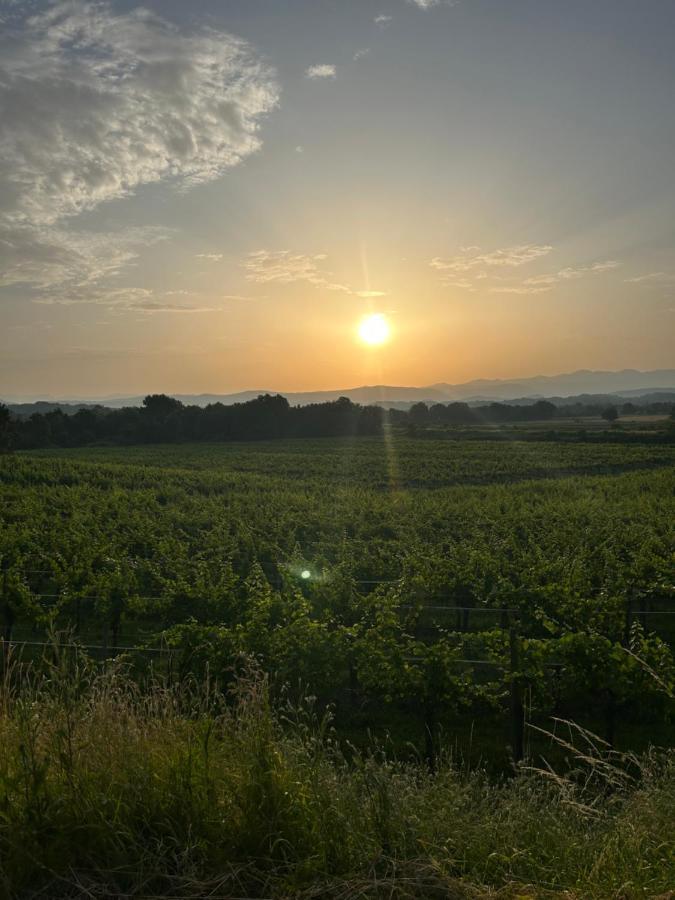 Cruna Di Subida Wine Country House Cormòns المظهر الخارجي الصورة
