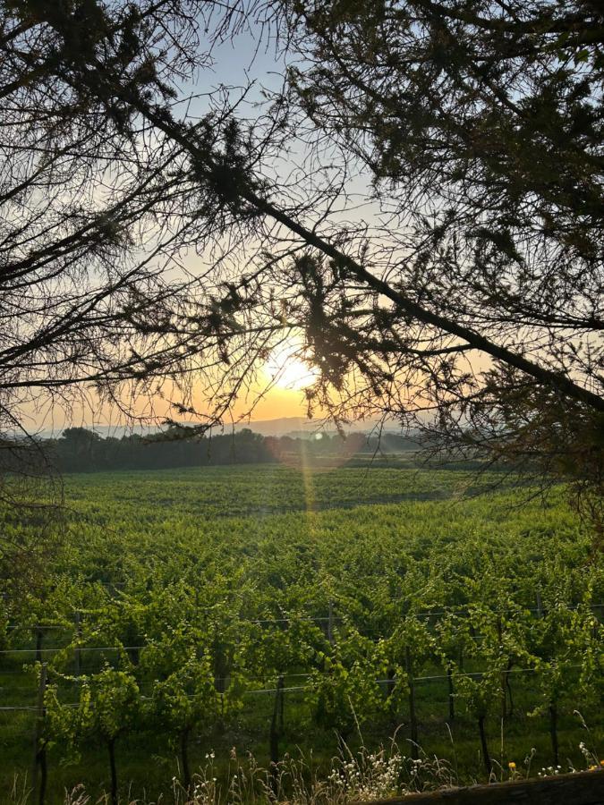 Cruna Di Subida Wine Country House Cormòns المظهر الخارجي الصورة