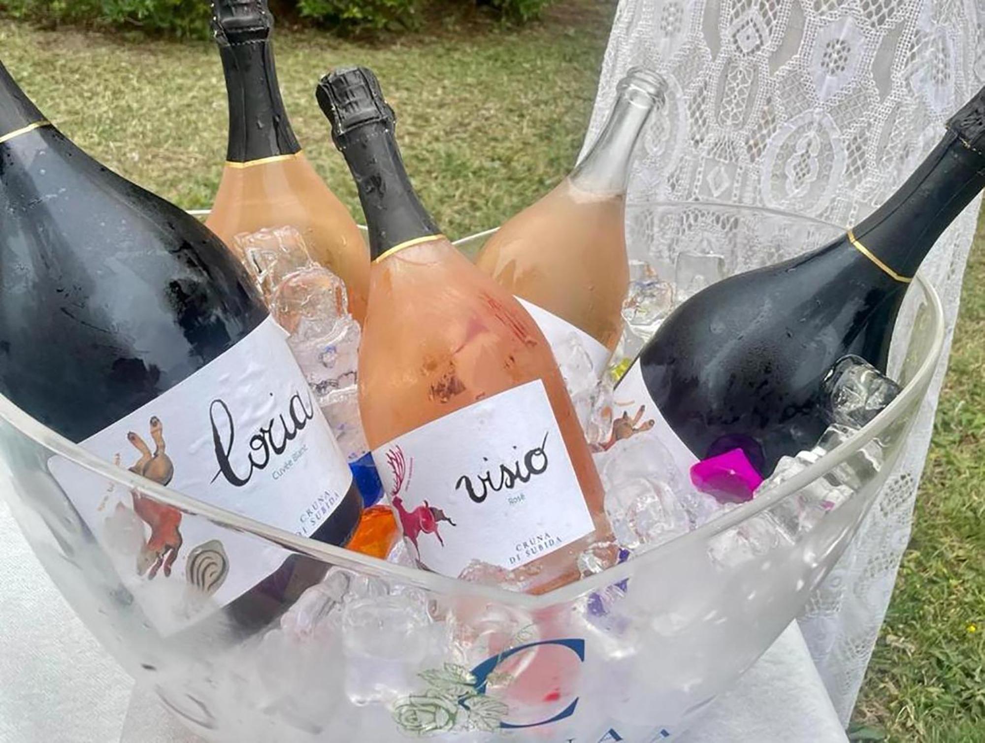Cruna Di Subida Wine Country House Cormòns المظهر الخارجي الصورة